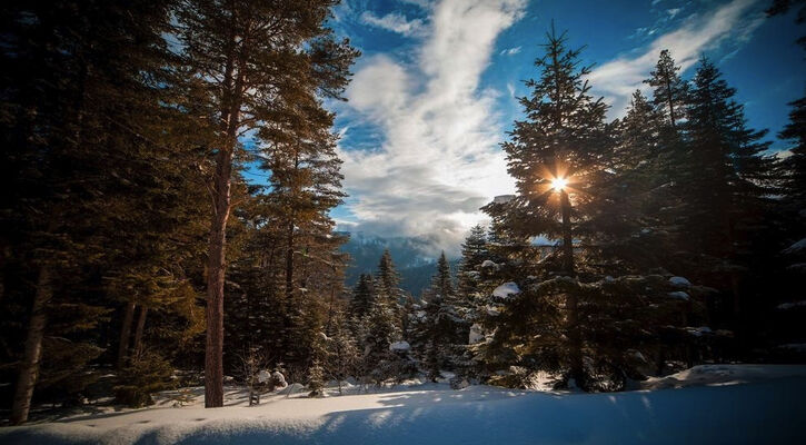 Ferko Ilgaz Mountain Hotel & Resort