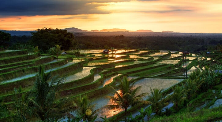 ELEGANT BALİ 