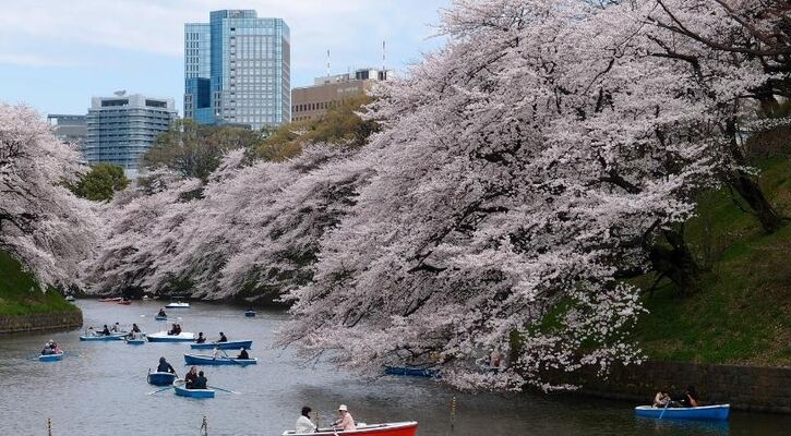 ELEGANT JAPONYA & GÜNEY KORE (Koyo Zamanı)