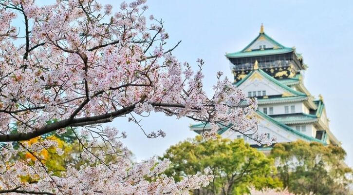 ELEGANT JAPONYA & GÜNEY KORE (Sakura&Ramazan Bayramı)